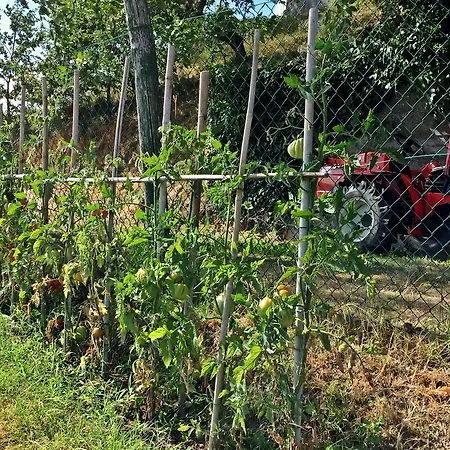 Agriturismo Bicocchi * Piteglio
