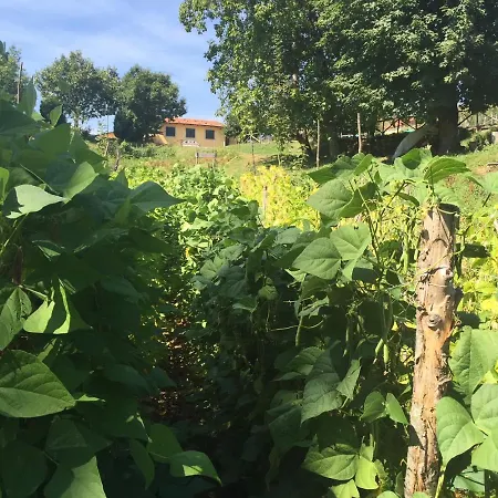 בית חווה Agriturismo Bicocchi *